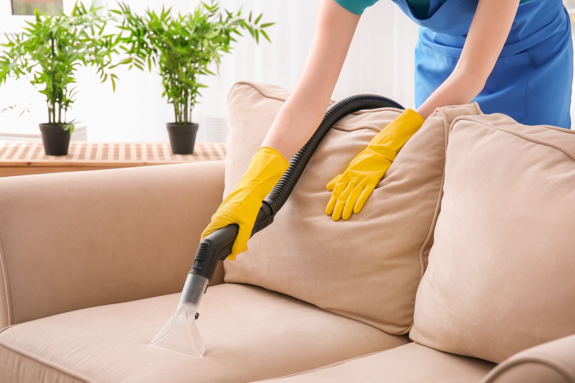 homemade upholstery cleaner