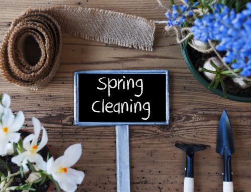 Benefits of Hiring a Professional Cleaning Service for Your Spring Cleaning