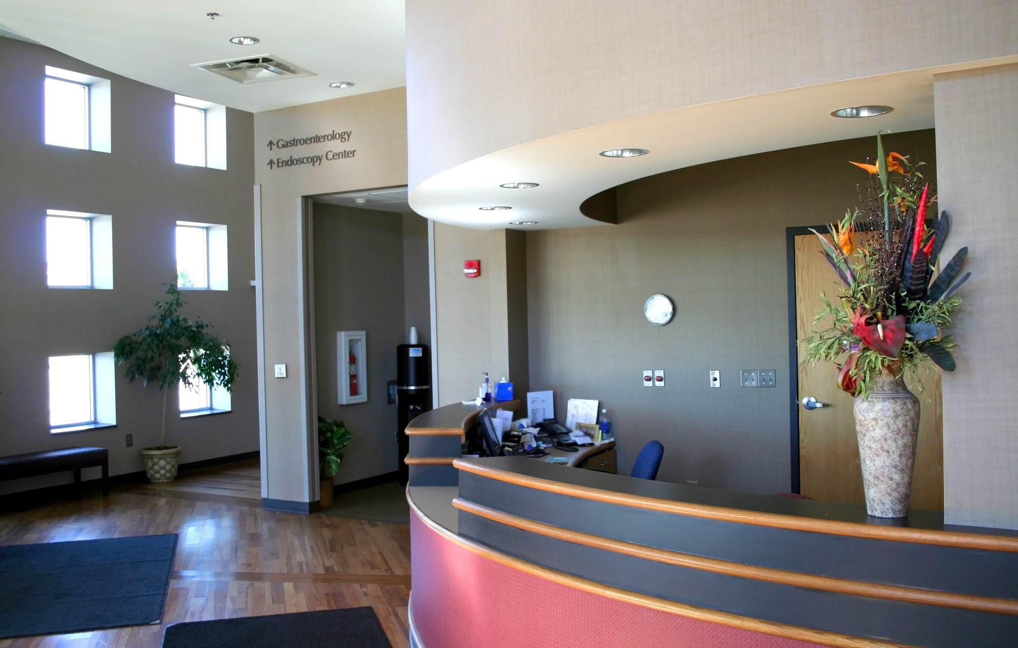 professional cleaning service professional cleaning service